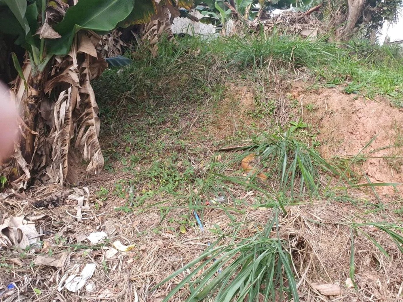 Terreno à venda em Vila Indiana, São Paulo, SP