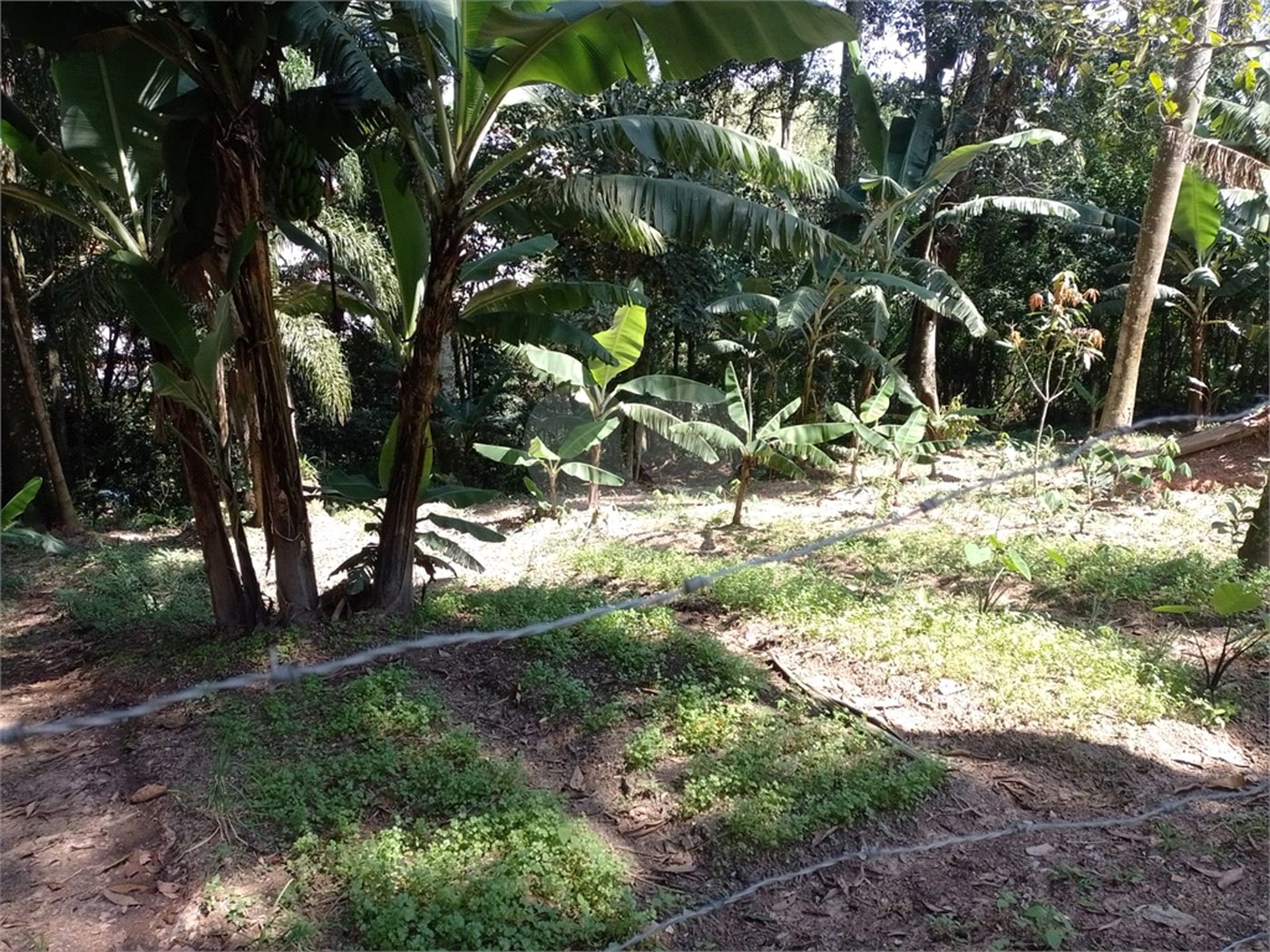 Chácara à venda com 8 quartos em Parque Piratininga, Itaquaquecetuba, SP