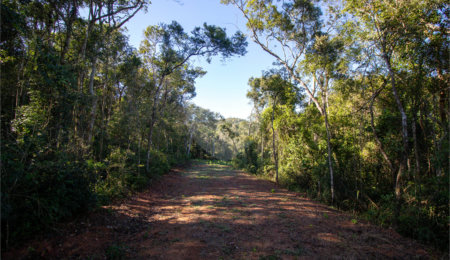 Terreno à venda no Centro (canguera), São Roque, SP