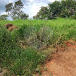 GLEBAS RURAIS EM PIRACAIA A PARTIR 20.000 M², EXCELENTE PARA CHÁCARAS E FAZENDINHAS