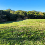Terreno à venda em Santa Isabel, Louveira, SP