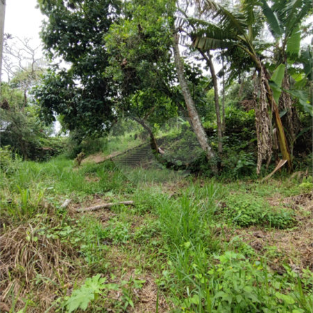 Terreno à venda em Vila Moraes, Mogi das Cruzes, SP