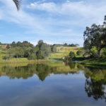 Terreno à venda em Vila Darcy Penteado (mailasqui), São Roque, SP
