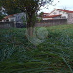 Terreno à venda em Jardim Novo Campos Elíseos, Campinas, SP