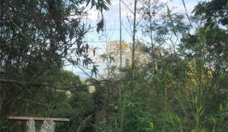 Terreno à venda em Serra da Cantareira, Mairiporã, SP