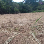Terreno à venda em Cézar de Souza, Mogi das Cruzes, SP