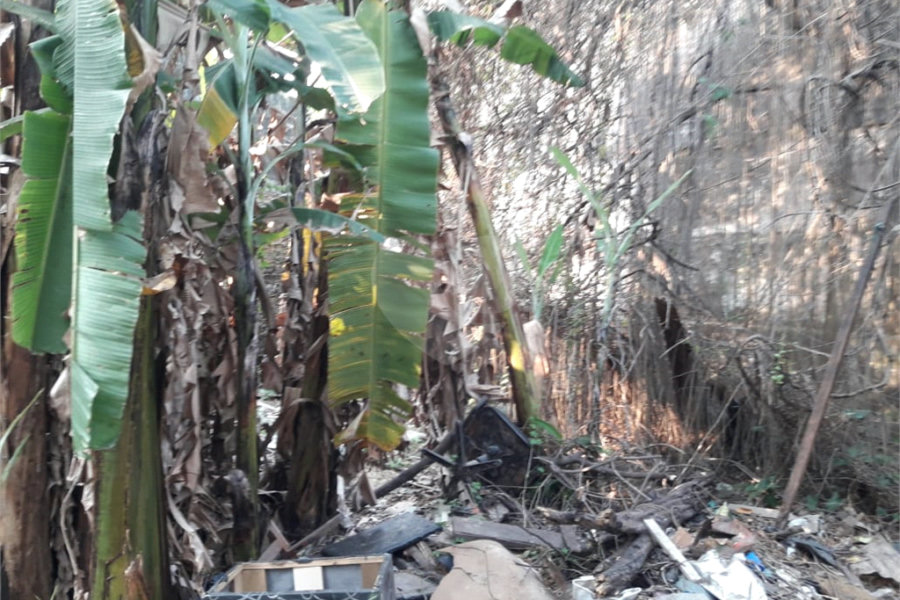 Sobrado à venda com 2 quartos em Jaçanã, São Paulo, SP