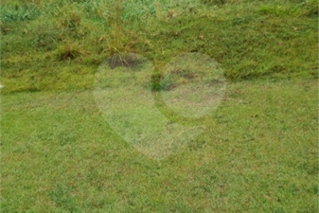 Terreno para alugar no Centro, Vinhedo, SP
