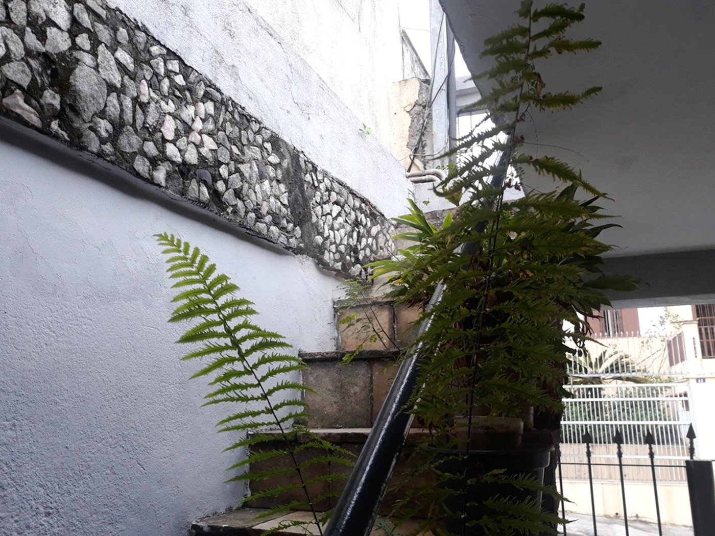Casa Térrea à venda com 3 quartos em Tucuruvi, São Paulo, SP