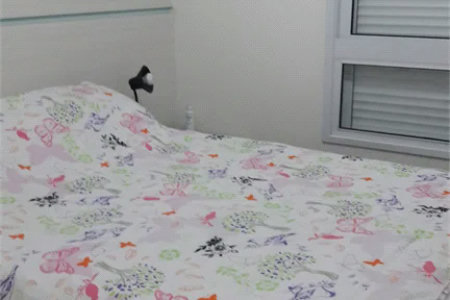 Apartamento à venda com 2 suítes em Vila Andrade, São Paulo, SP