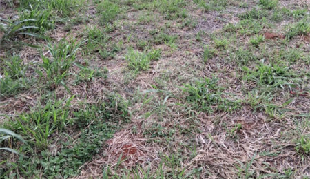 Terreno à venda em Mato Dentro, Mairinque, SP