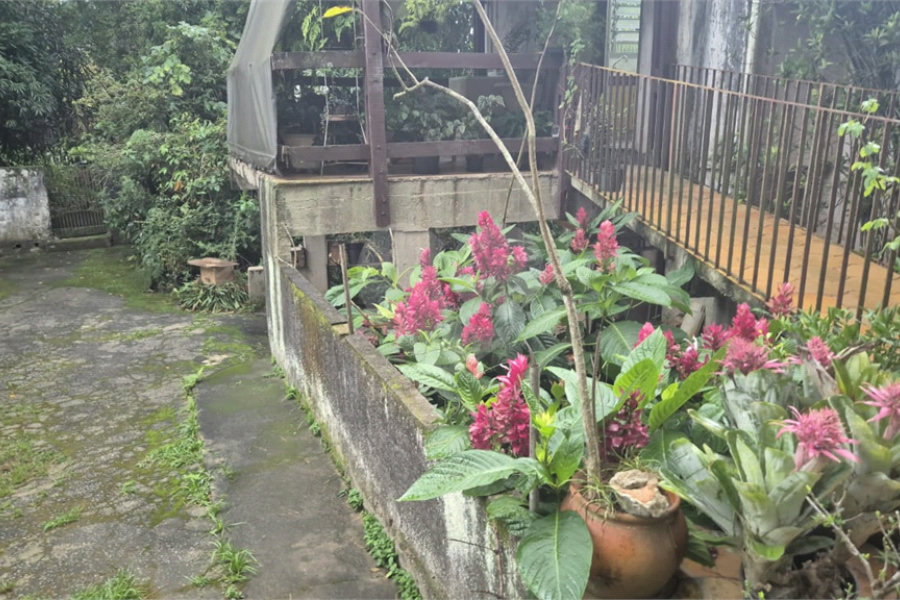 Terreno à venda ou para alugar em Horto, São Paulo, SP
