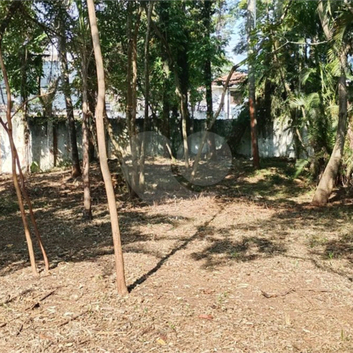 Terreno à venda em Alto da Boa Vista, São Paulo, SP