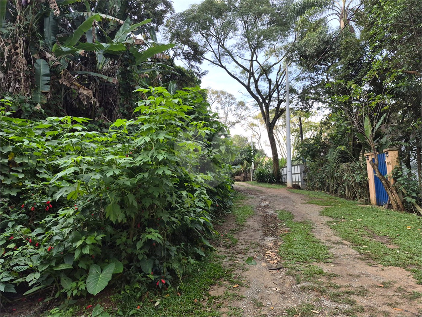 Terreno à venda em Serra da Cantareira, Mairiporã, SP