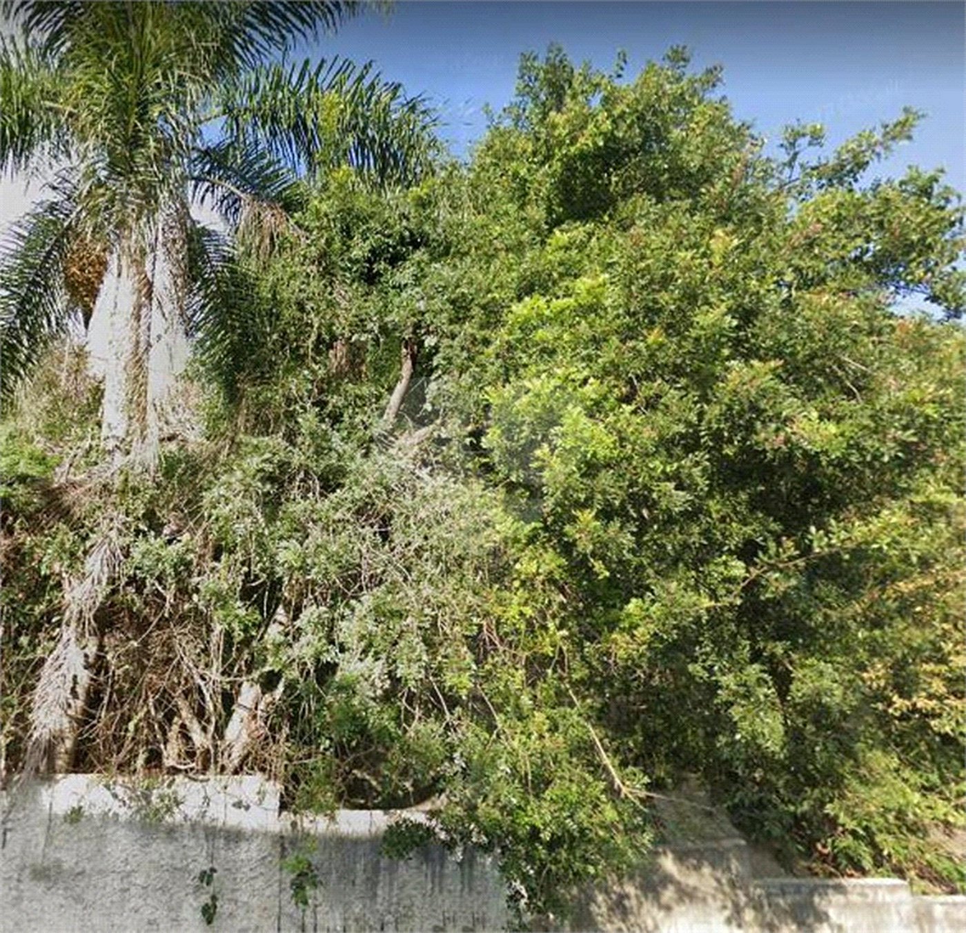 Terreno à venda em Vila Guilherme, São Paulo, SP