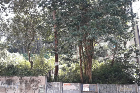 Terreno à venda ou para alugar em Vila Andrade, São Paulo, SP