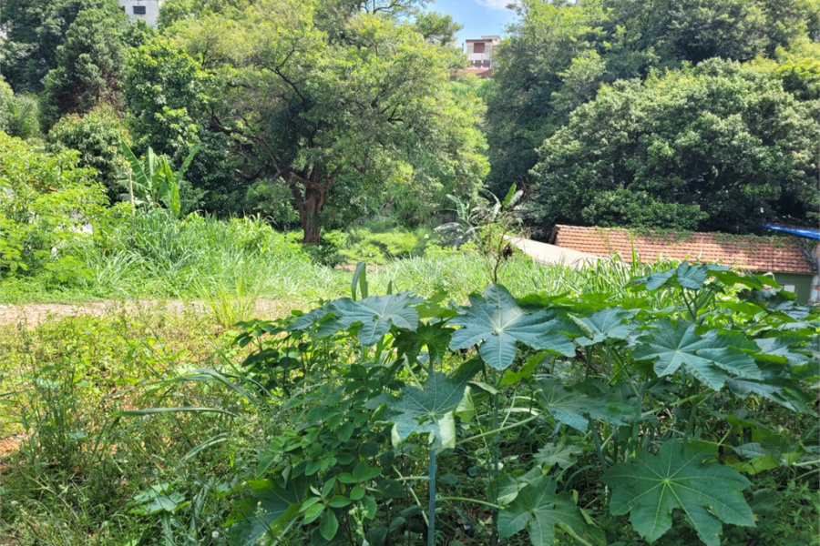 Terreno à venda com 1 quarto em Santana, São Paulo, SP