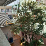 Casa Térrea à venda com 4 quartos em Vila Ernesto, São Paulo, SP