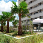 Apartamento à venda com 2 quartos, sendo 1 suíte, em Barra Funda, São Paulo, SP