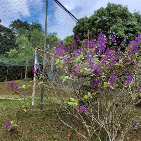 Terreno à venda em Alpes D'ouro, Bom Jesus dos Perdões, SP