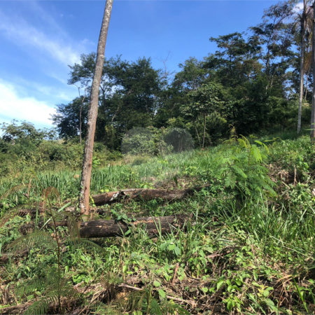 Terreno à venda no Centro, Bom Jesus dos Perdões, SP
