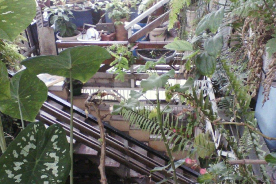 Prédio à venda em Água Fria, São Paulo, SP