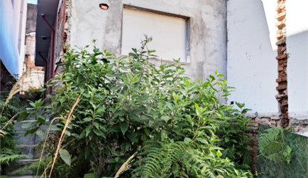 Terreno à venda em Vila Guilherme, São Paulo, SP