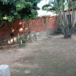 Chácara à venda com 3 quartos, sendo 1 suíte,  em Colinas de Indaiatuba, Indaiatuba, SP