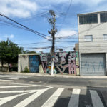 Terreno à venda em Vila Arapuã, São Paulo, SP