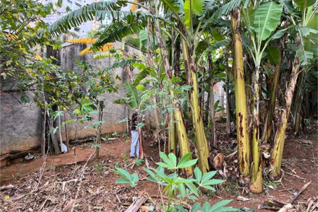 Terreno à venda em Santana, São Paulo, SP