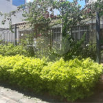 Casa Térrea à venda com 3 quartos, sendo 1 suíte, em Jardim São Bento, São Paulo, SP