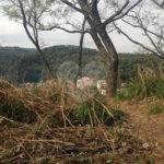 Terreno à venda no condomínio Sem Nome, São Paulo - SP