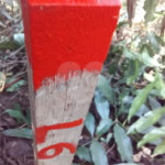 Terreno à venda no condomínio Sausalito, Mairiporã - SP