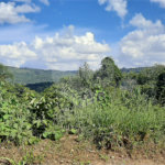 Terreno à venda no condomínio Sausalito, Mairiporã - SP