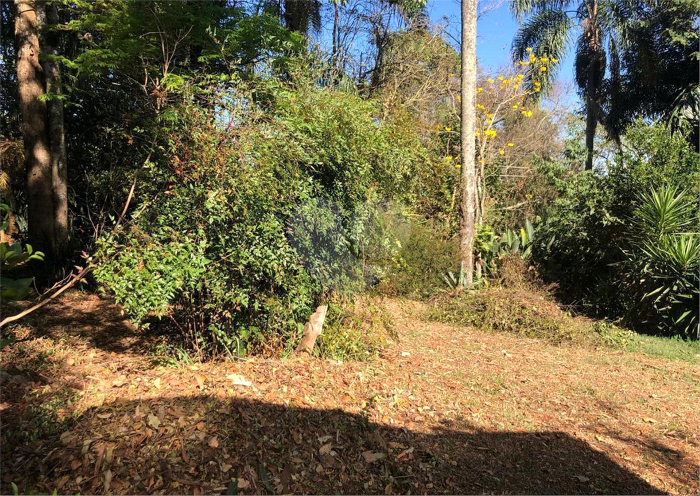 Casa à venda com 5 quartos, sendo 3 suítes, em Serra da Cantareira, Mairiporã, SP