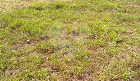 Terreno à venda no condomínio Villaggio Paradiso Itatiba, Itatiba - SP