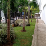 Apartamento à venda com 3 quartos, sendo 1 suíte, em Casa Verde, São Paulo, SP