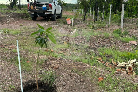 Terreno à venda em Nossa Senhora da Guia, Cuiabá, MT