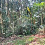 Terreno à venda no condomínio Cantareira, Mairiporã - SP