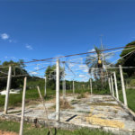 Área de Terra à venda com 1 quarto em Capivari, Louveira, SP