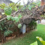 Chácara à venda com 3 quartos, sendo 1 suíte, em Chácaras Reunidas Ipê, Itu, SP