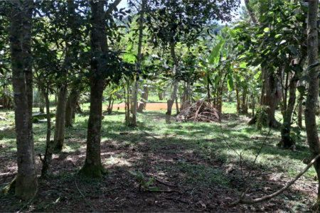 Chácara à venda com 4 quartos, sendo 1 suíte, em Taiaçupeba, Mogi das Cruzes, SP