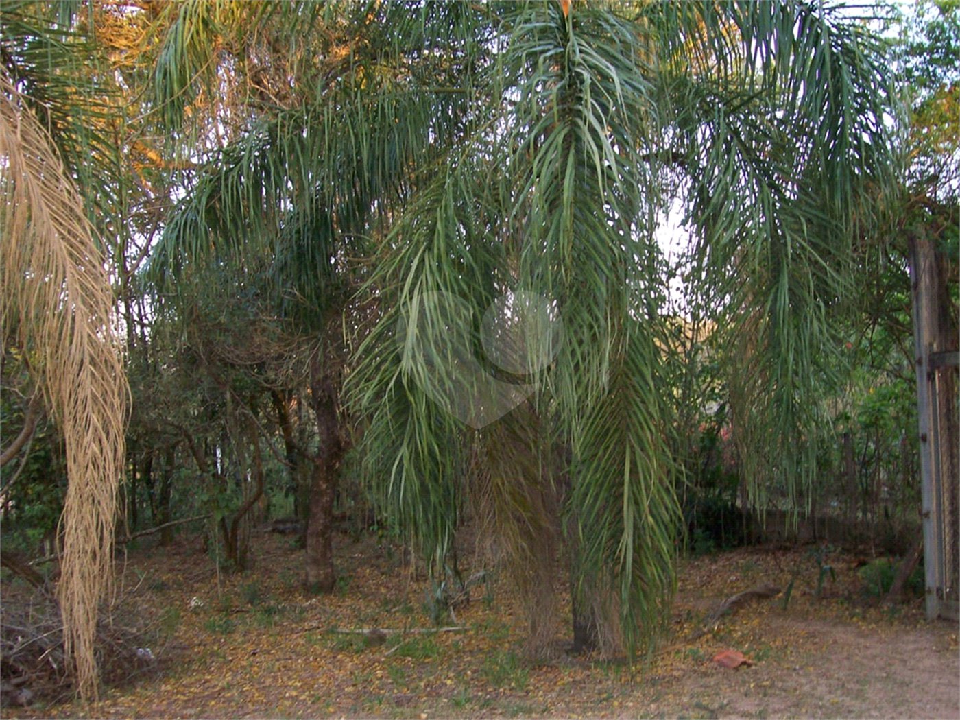 Chácara a venda no Aracê de Santo Antônio .