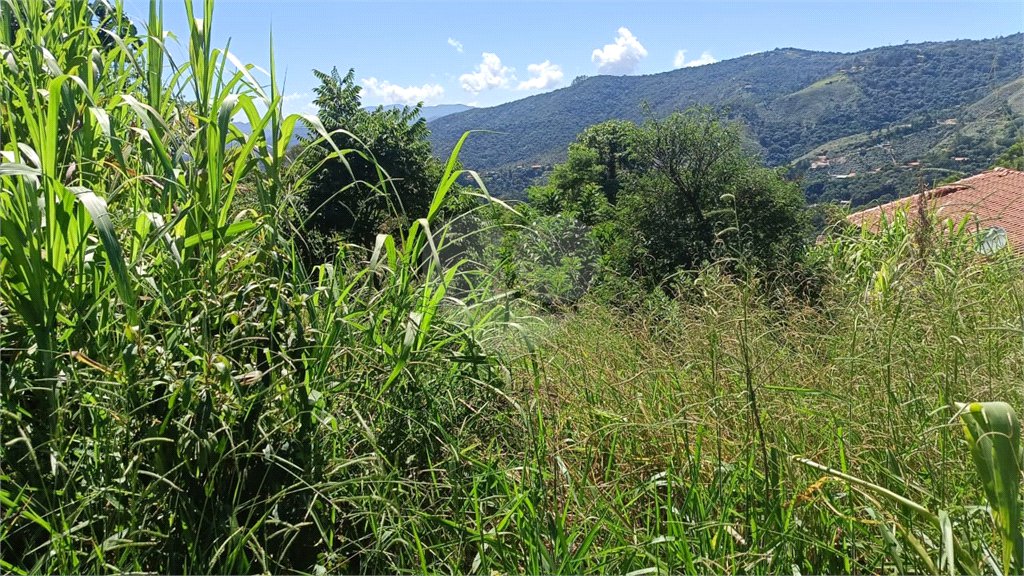 Terreno à venda em Luiz Fagundes, Mairiporã, SP