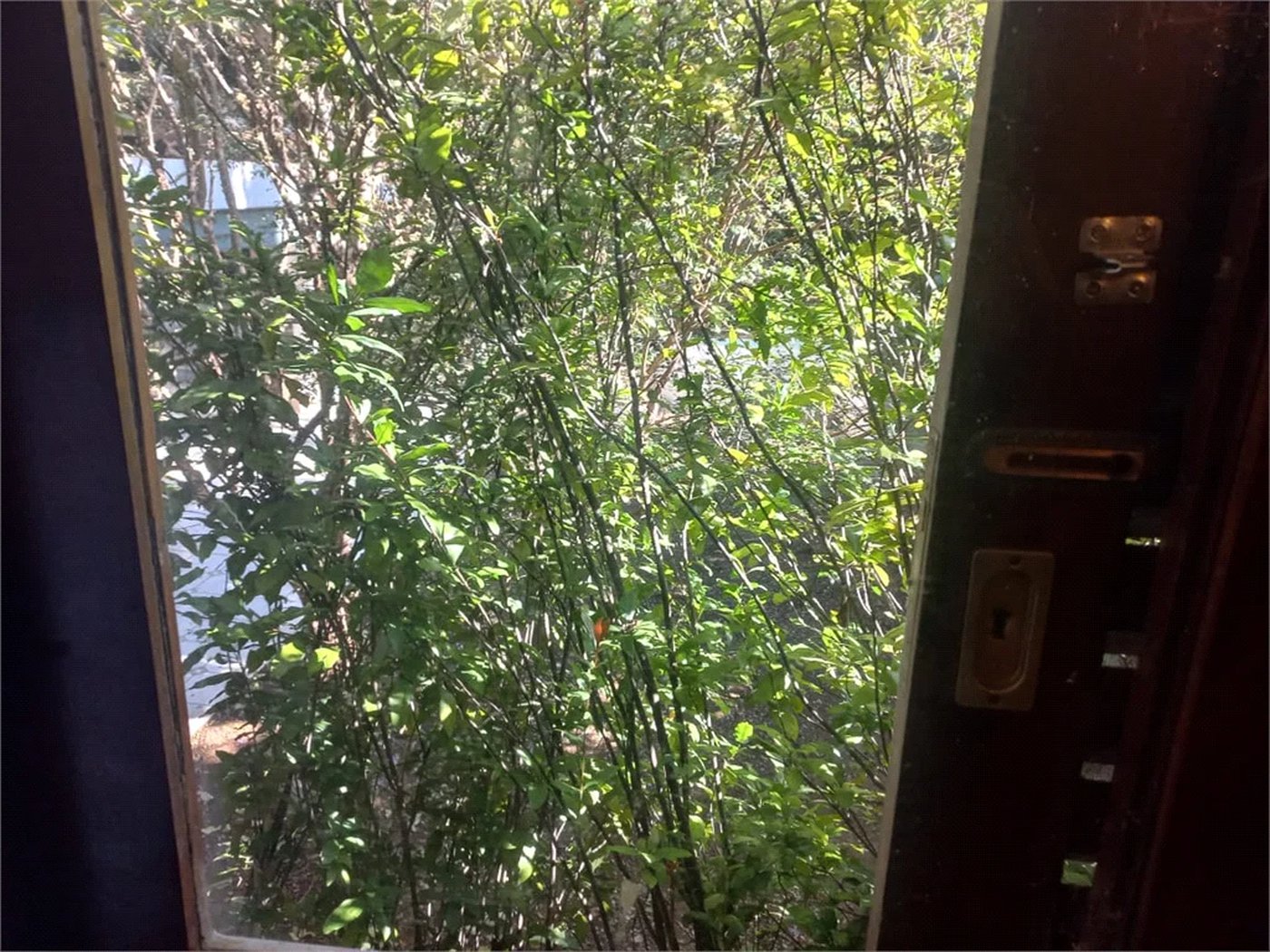 Casa à venda com 3 quartos, sendo 2 suítes,  em Morumbi, São Paulo, SP