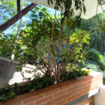 Sobrado à venda com 4 suítes em Barro Branco (zona Norte), São Paulo, SP