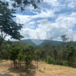 Terreno à venda em Serra da Cantareira, Mairiporã, SP