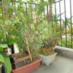 Apartamento à venda com 3 quartos, sendo 1 suíte, em Vila Mariana, São Paulo, SP