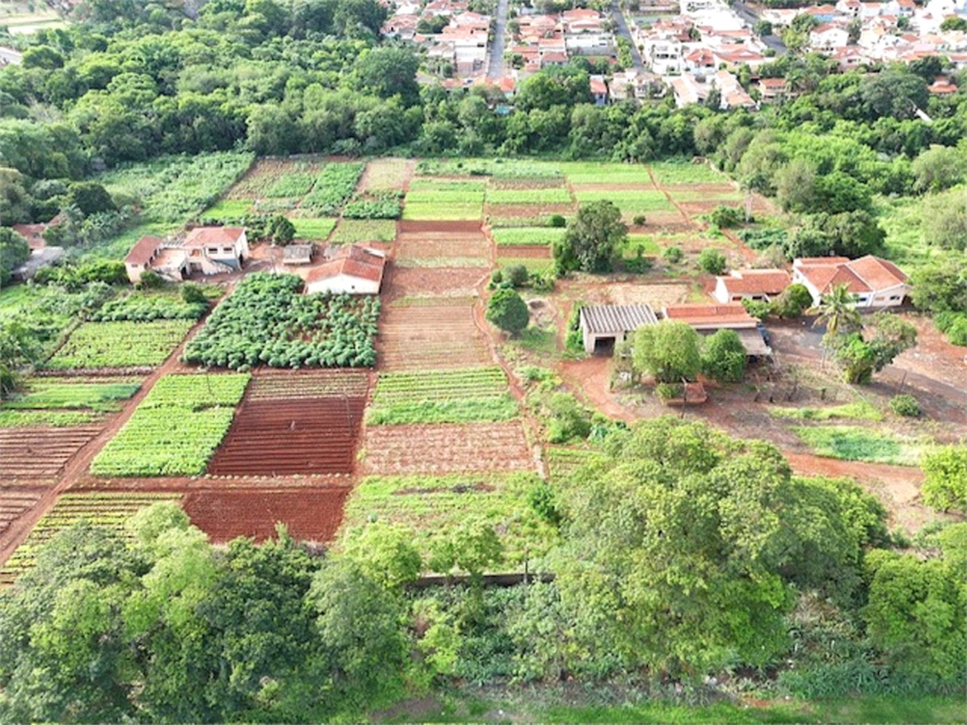 Terreno à venda em Jardim Itaú, Ribeirão Preto, SP
