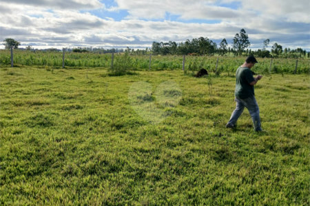 Terreno à venda em Área Rural de Guareí, Guareí, SP